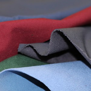 Softshell Fabric