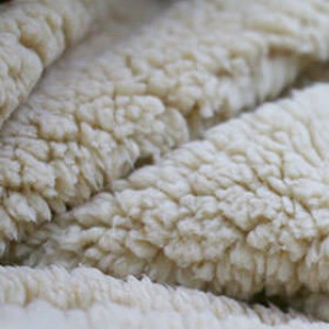 Curly Teddy Fabric