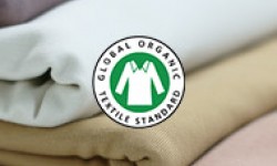 Organic Cotton Jersey Fabrics