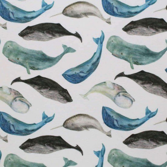 Jersey Di Cotone Stampa Digitale - Animali Marini Jersey Di Cotone Stampa Digitale - Animali Marini - (Jersey Di Cotone Digitale Stampata)