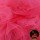 Fuchsia - R107513 