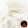 Ivory - R107511 