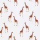 Cotton Poplin Digital Print - Giraffe Herds Cotton Poplin Digital Print - Giraffe Herds - (Cotton Poplin Printed)