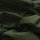 Army Green - R558714 