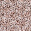 Double Gauze Fabric Digital Print - Filler Flower Light Brown