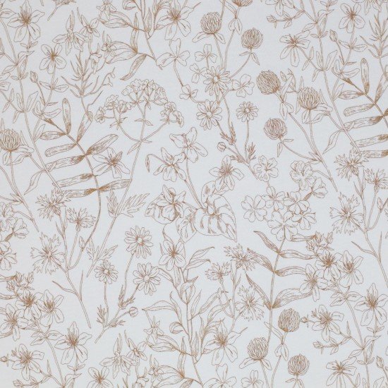 Jersey Coton Impression Numérique - Croquis De Fleurs Écru - (Jersey Coton Impression Numérique)
