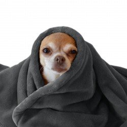 Coral Fleece Dark Grey