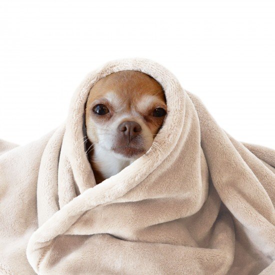 Wellness Fleece Beige - (Fleece Stoffe)