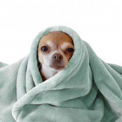 Coral Fleece Sea Green