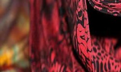 Printed Jersey Fabric