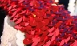 Ruban Paillettes