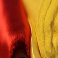 Satin Crêpe Fabric