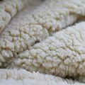 Curly Teddy Fabric