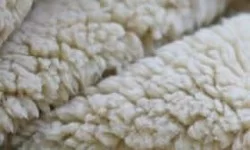 Tissu Fourrure Mouton