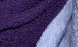 Tissu Éponge Coton 