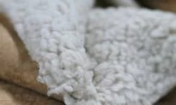 Tissu Suédine Doublé Fourrure