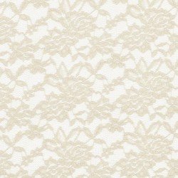 Lace Fabric Stretch Ecru