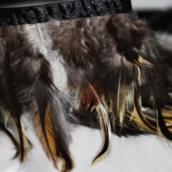 Feather Ribbon 10cm Chickens