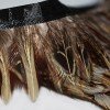 Feather Ribbon 5cm Duck Breast